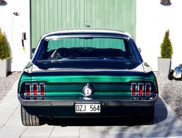 mustang