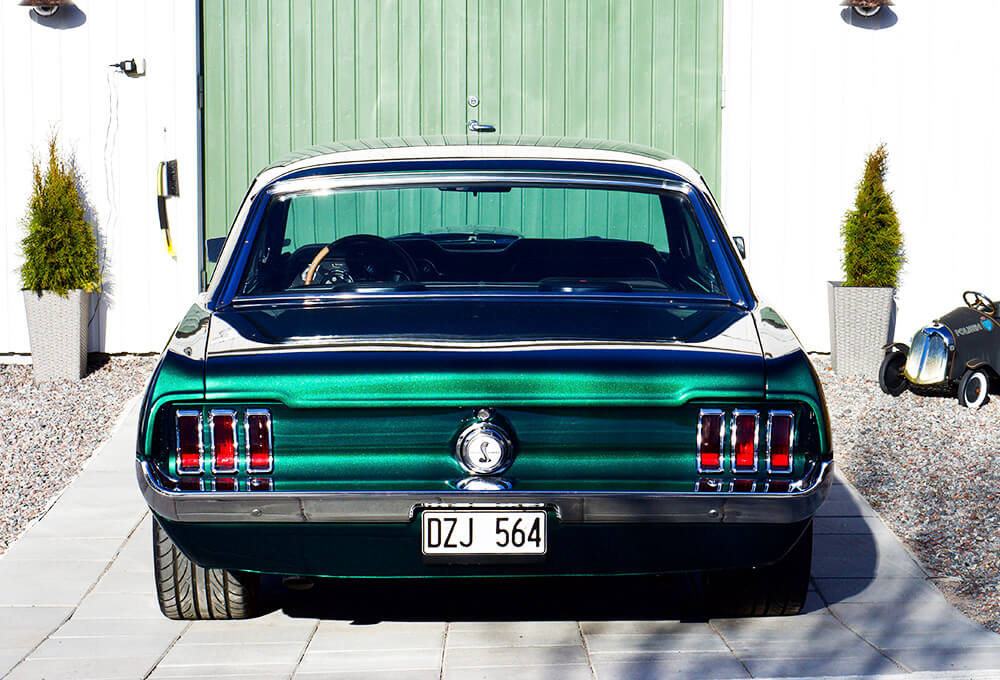 Mustang