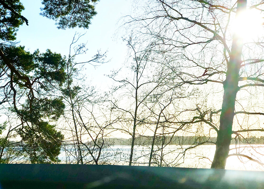 mustang-premiartur-2019-7 - Årets första (och bästa) Mustang-tur!