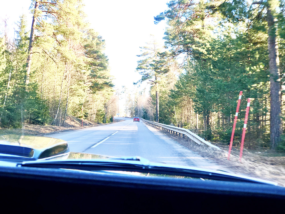 mustang-premiartur-2019-8 - Årets första (och bästa) Mustang-tur!