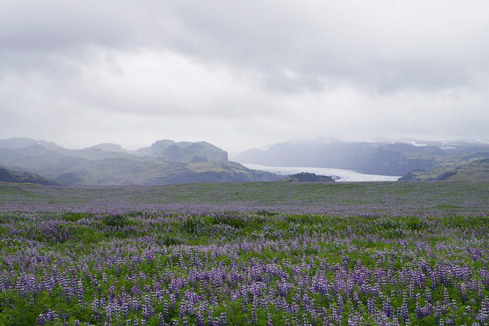 Mýrdalsjökull glaciär på Island