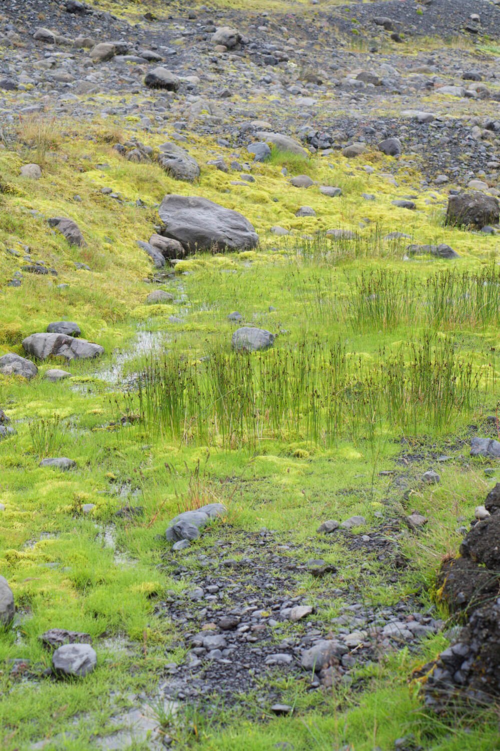 Mýrdalsjökull glaciär på Island