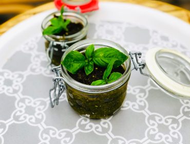 narodlat-pesto-front-1