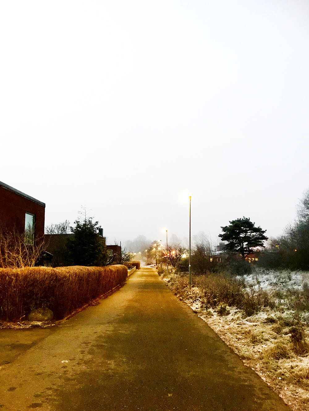 november morgon