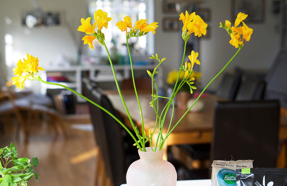 Blommor i vas