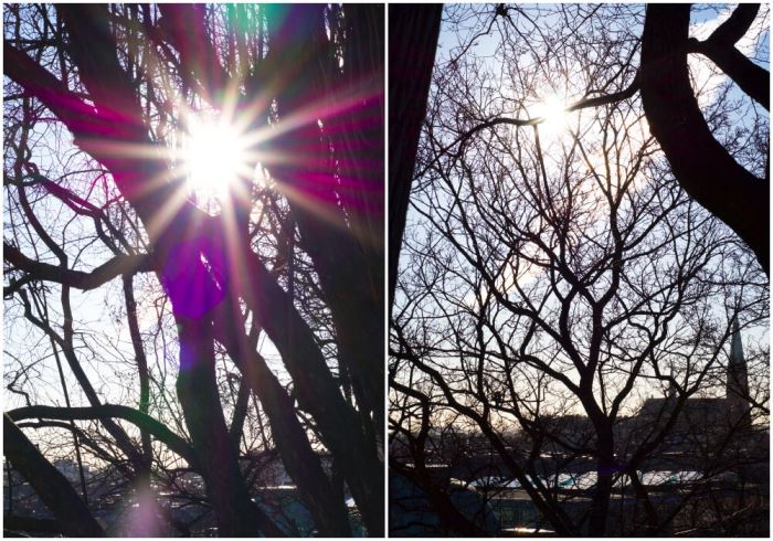 Observatorielunden Stockholm