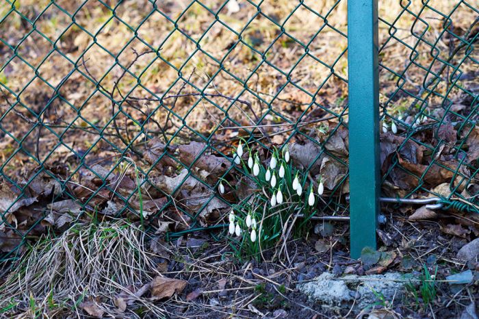 Observatorielunden Stockholm