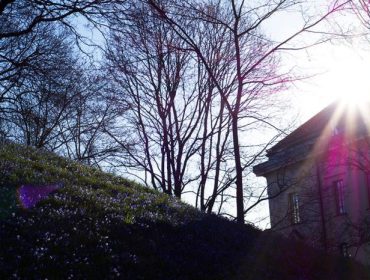 observatorielunden-pa-varen-6