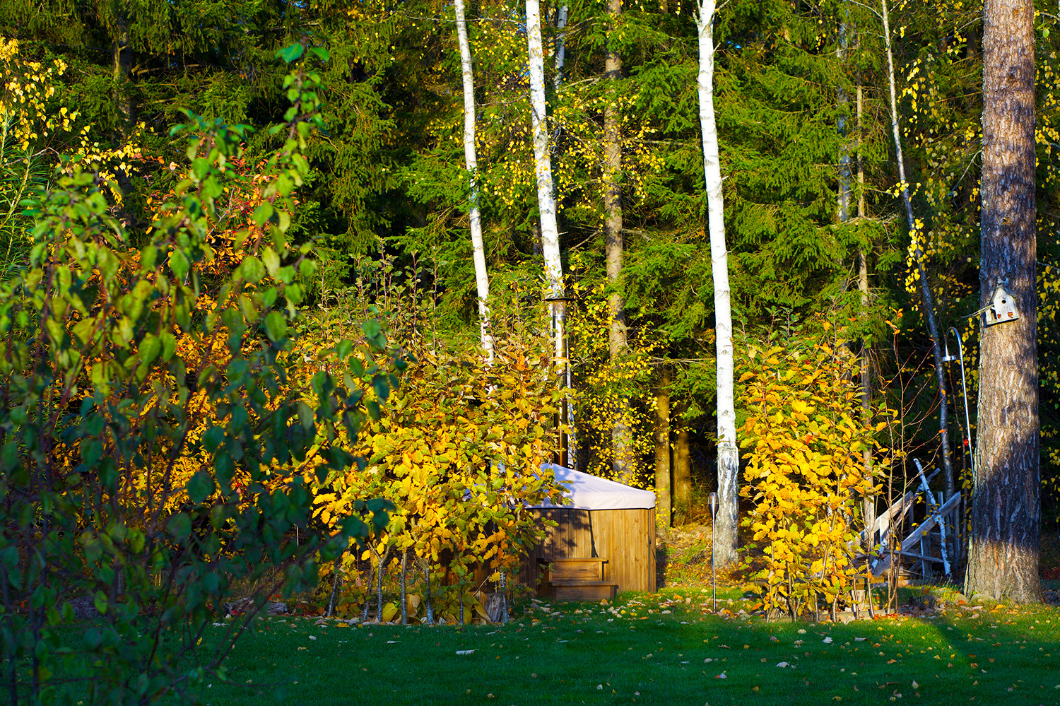 En oktoberdag i trädgården