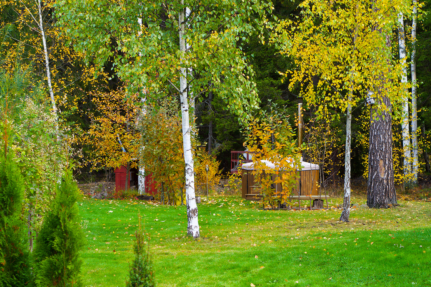 En oktoberdag i trädgården