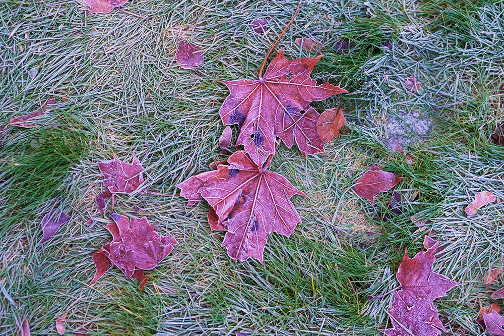 Östhammar på vintern