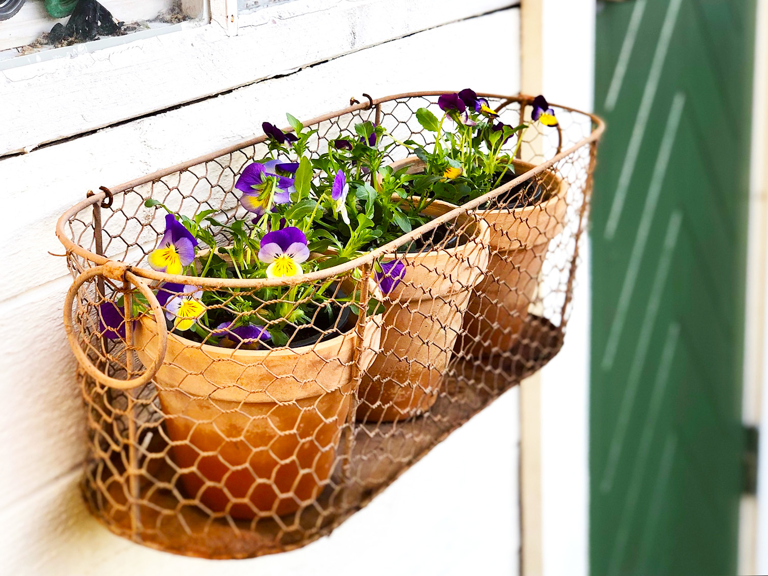 Penseer som min mamma älskade