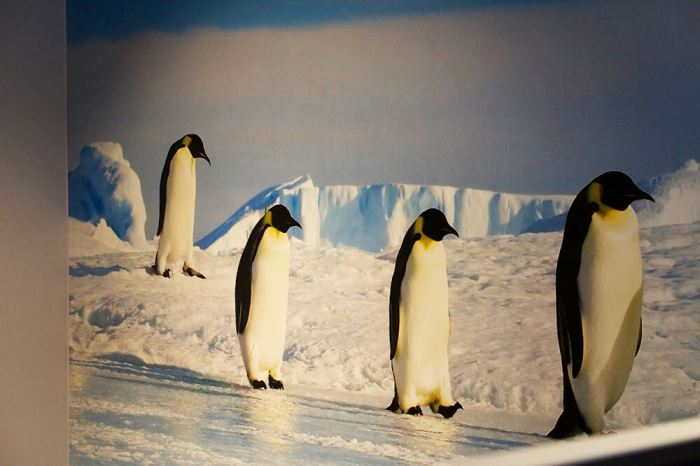 Pineberrys nya kontor på Kungsgatan 55