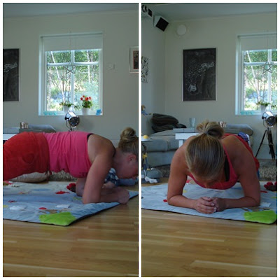 plankan - Maxtest plankan