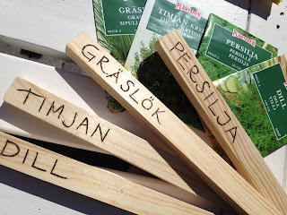 plantering-av-kryddor-6 - Vårtecken