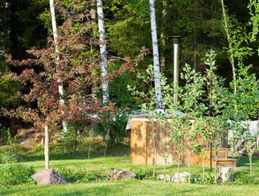 plantering-tradgarden-1