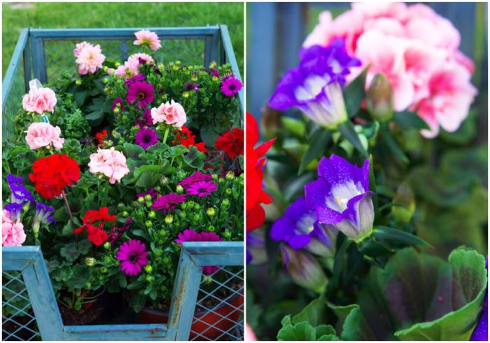 Plantering i trädgården