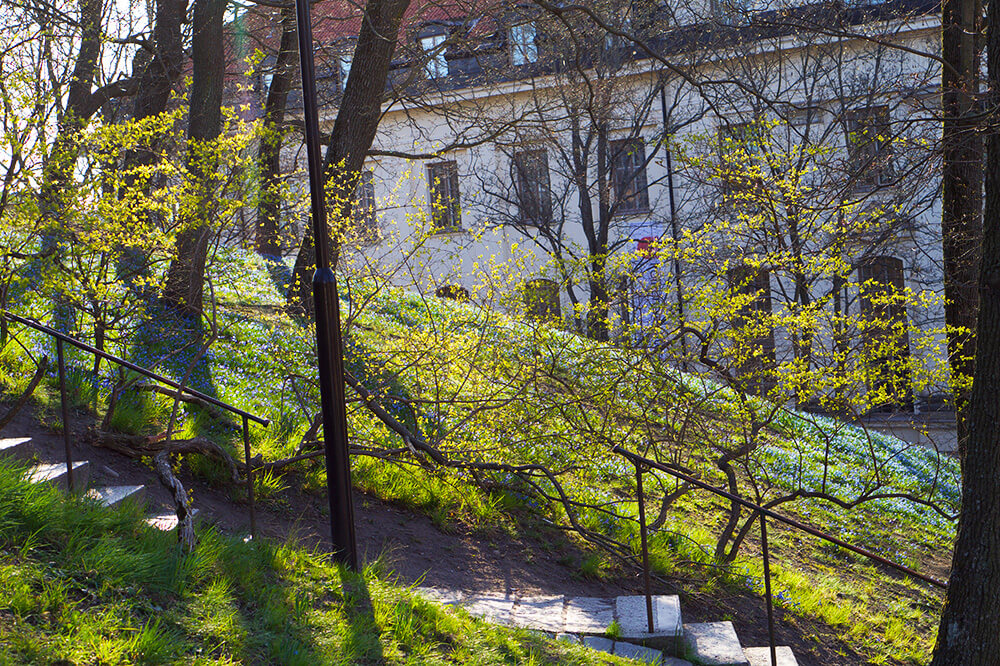 promenad-2 - Allergimedicin