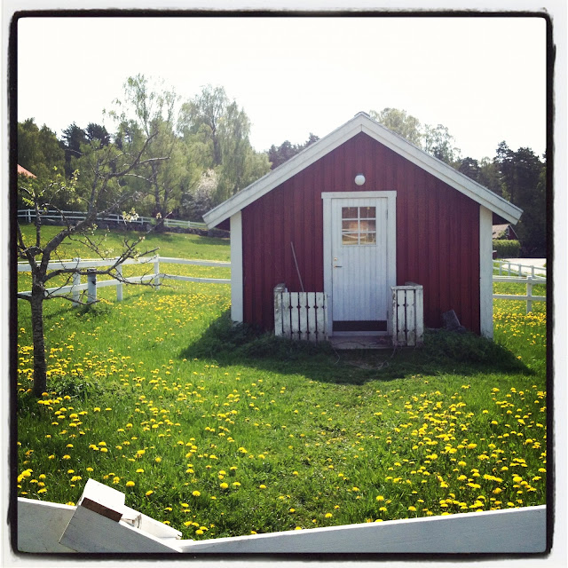 promenad-5 - Jag gick till stallet istället...