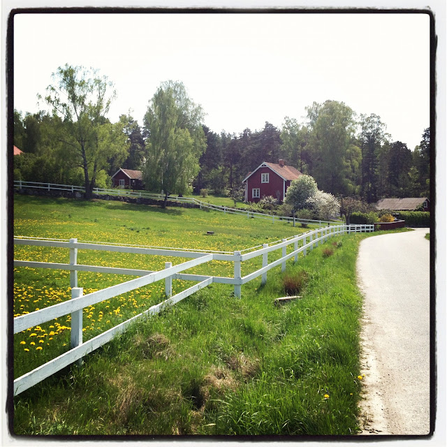 promenad-6 - Jag gick till stallet istället...