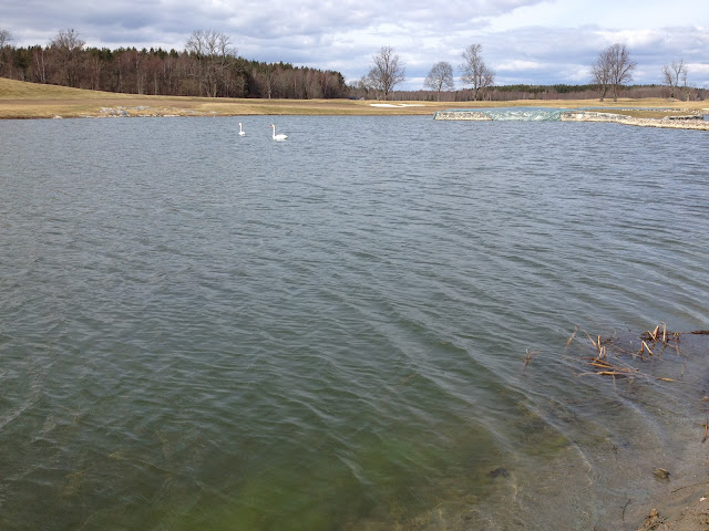 promenad-med-sjC3B6utsikt-28929 - Promenad med sjöutsikt