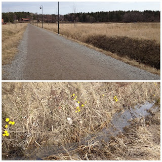 promenad-tussilago - Den underbara känslan av att ta ut sig ordentligt