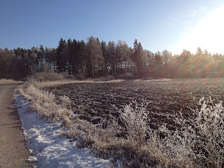 promenad28229 - Lugn start på träningsveckan