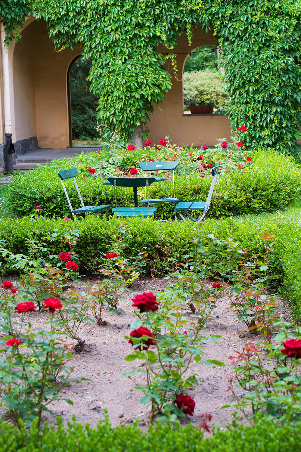 Röda rosor på Sigtunastiftelsen, Sigtuna