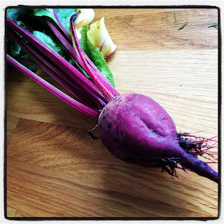 rodbeta - Vår första rödbeta