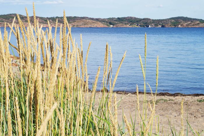 Bad vid en strand i Lysekil
