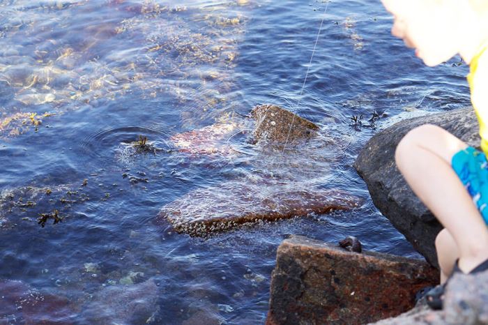 Fiske vid en strand i Lysekil