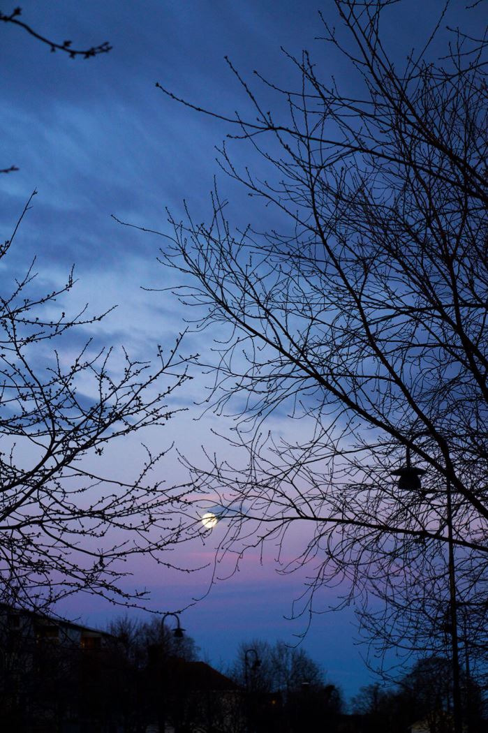 en vacker vårkväll