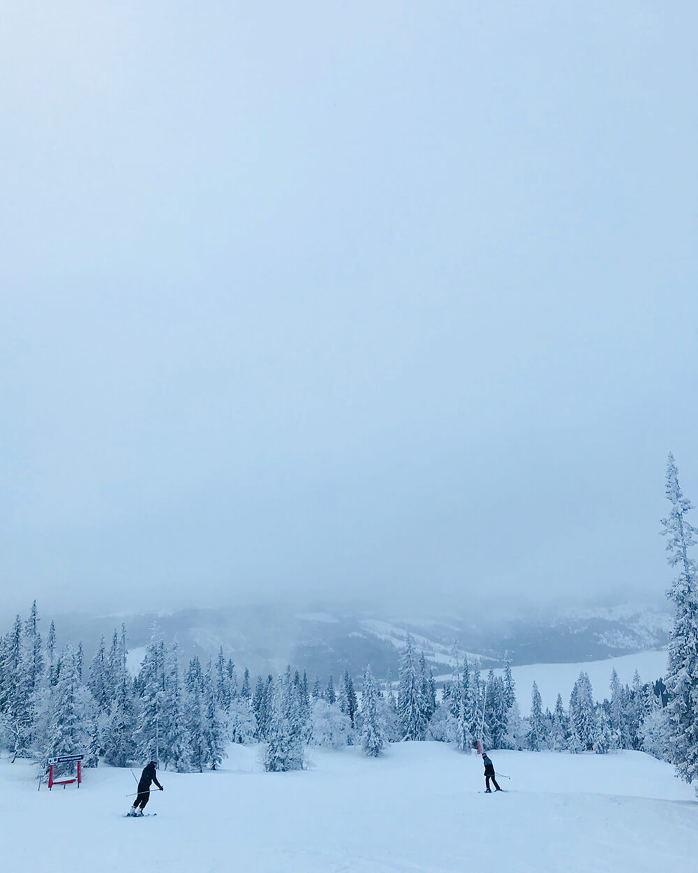 Skidåkning i Åre Björnen