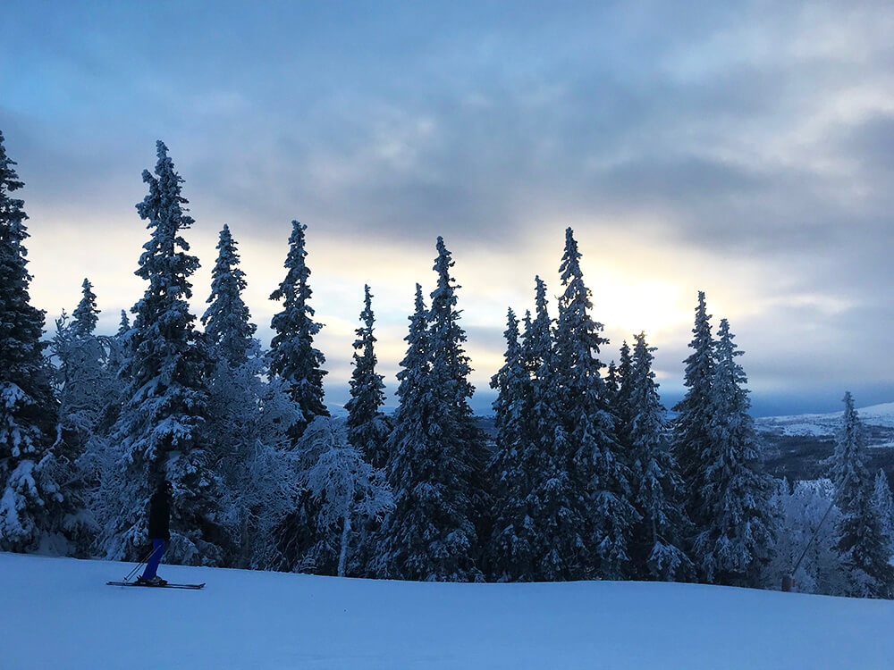 Skidåkning i Åre Björnen