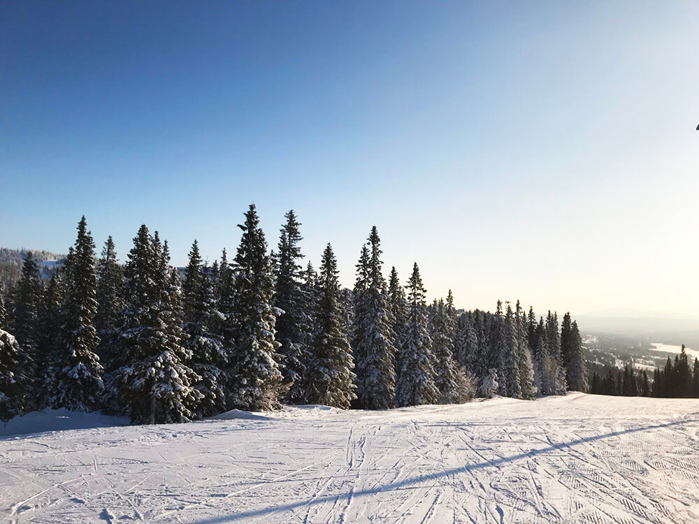 Skidåkning i Åre Björnen