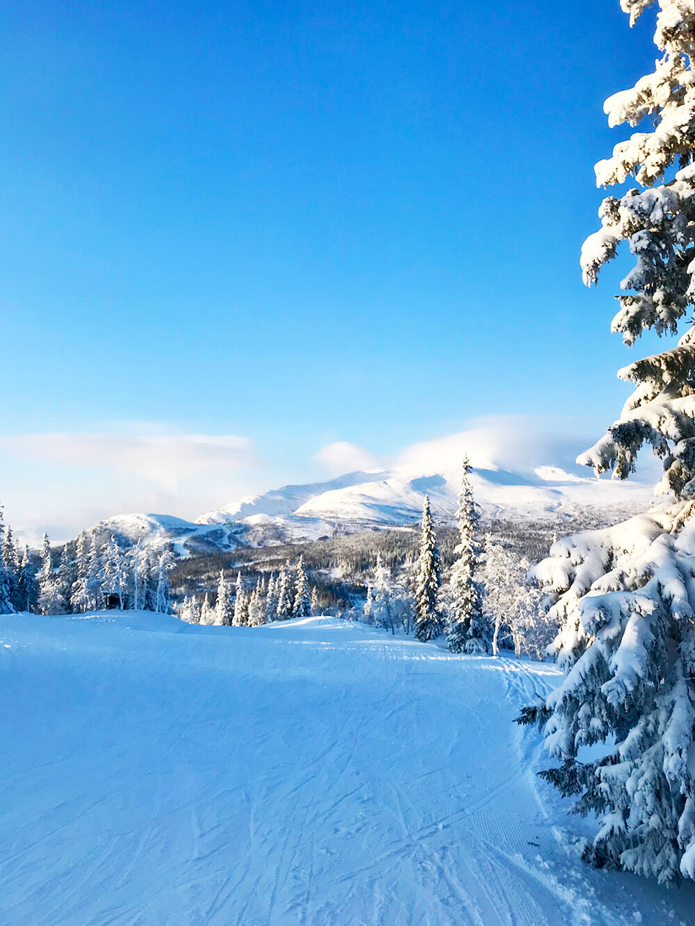 Skidåkning i Åre Björnen