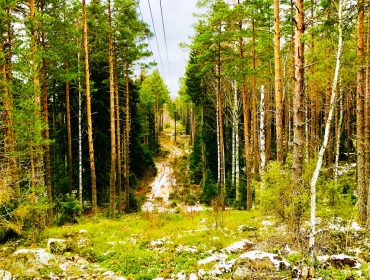 skogen-reflektion-och-egentid-med-dottern-1