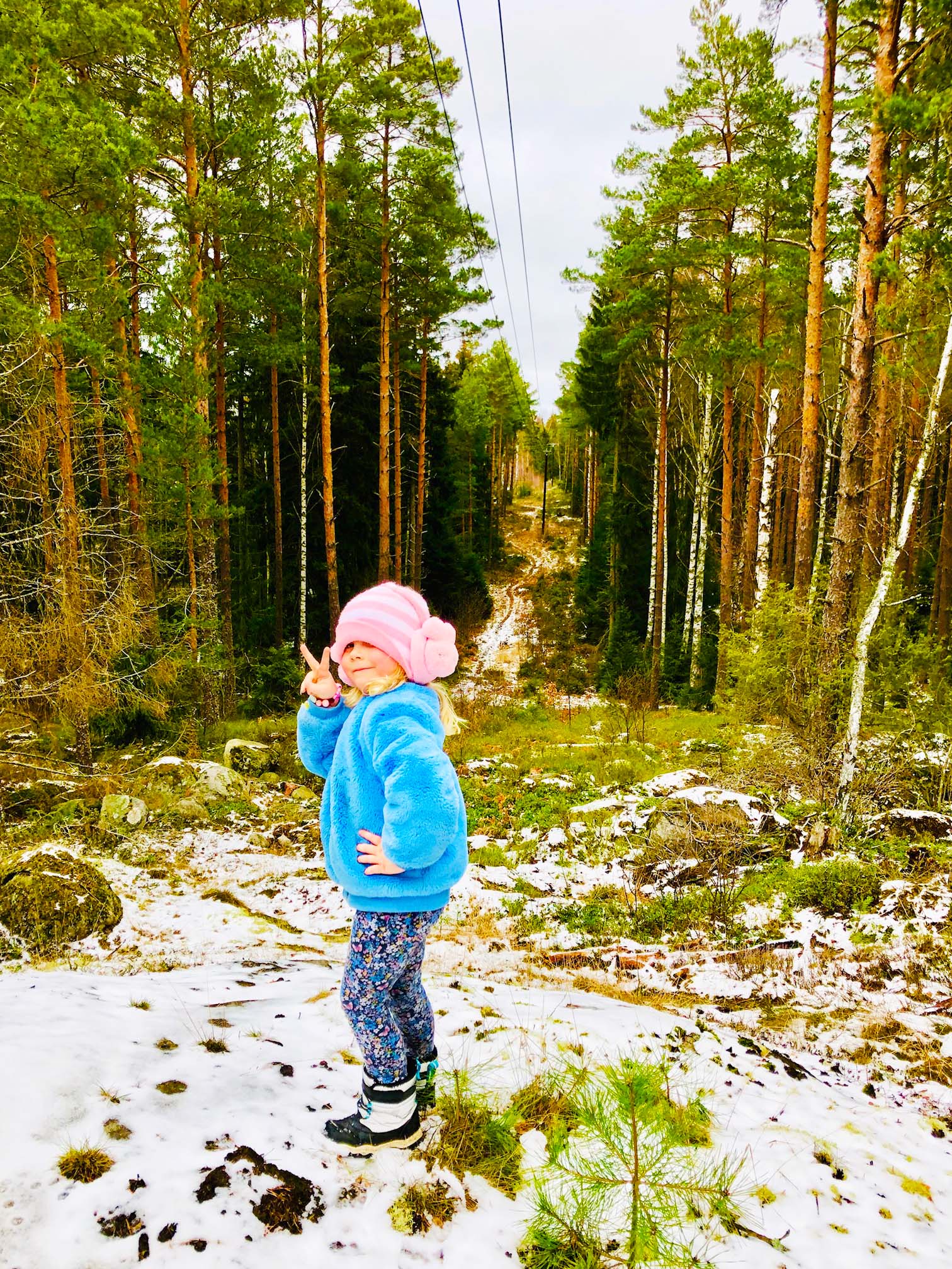 Skogen - reflektion och egentid