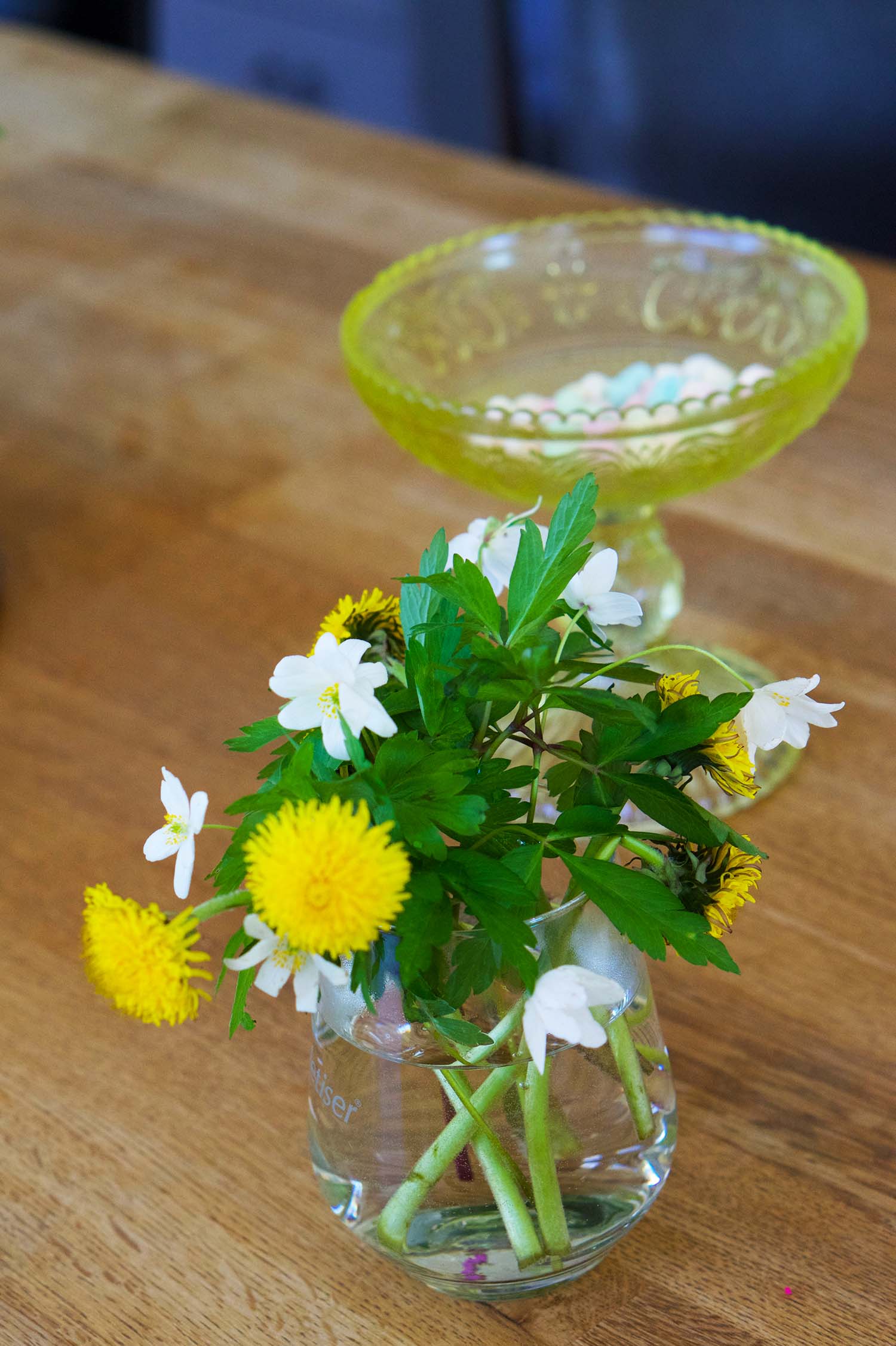 Vitsippsplock på skogspromenad