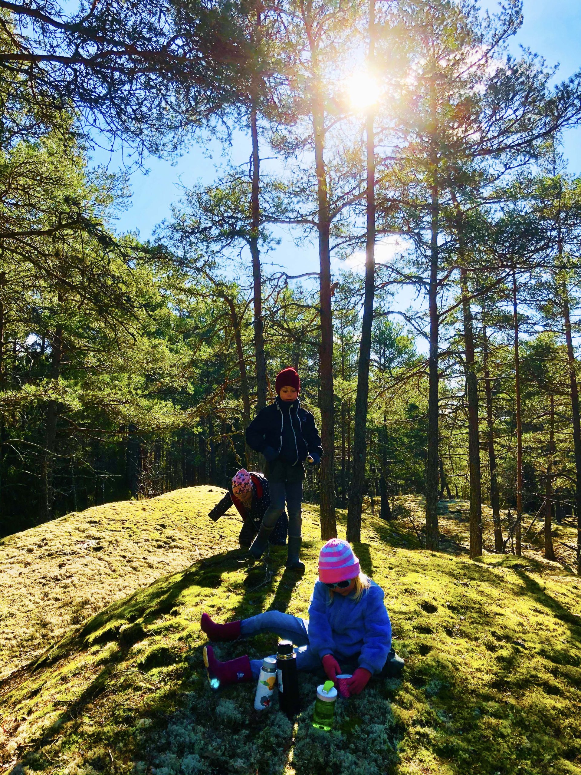 Skogsutflykt med barn
