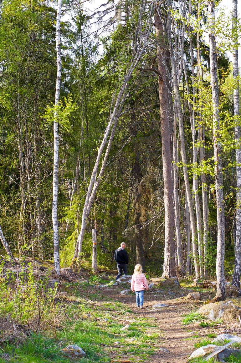 skokloster-med-mustang-9 - Promenera långt med barn