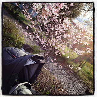 skona-maj-3 - Sköna maj