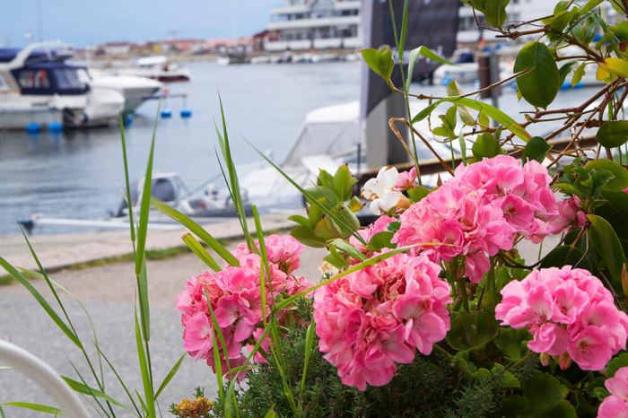 Kungshamn på sommaren