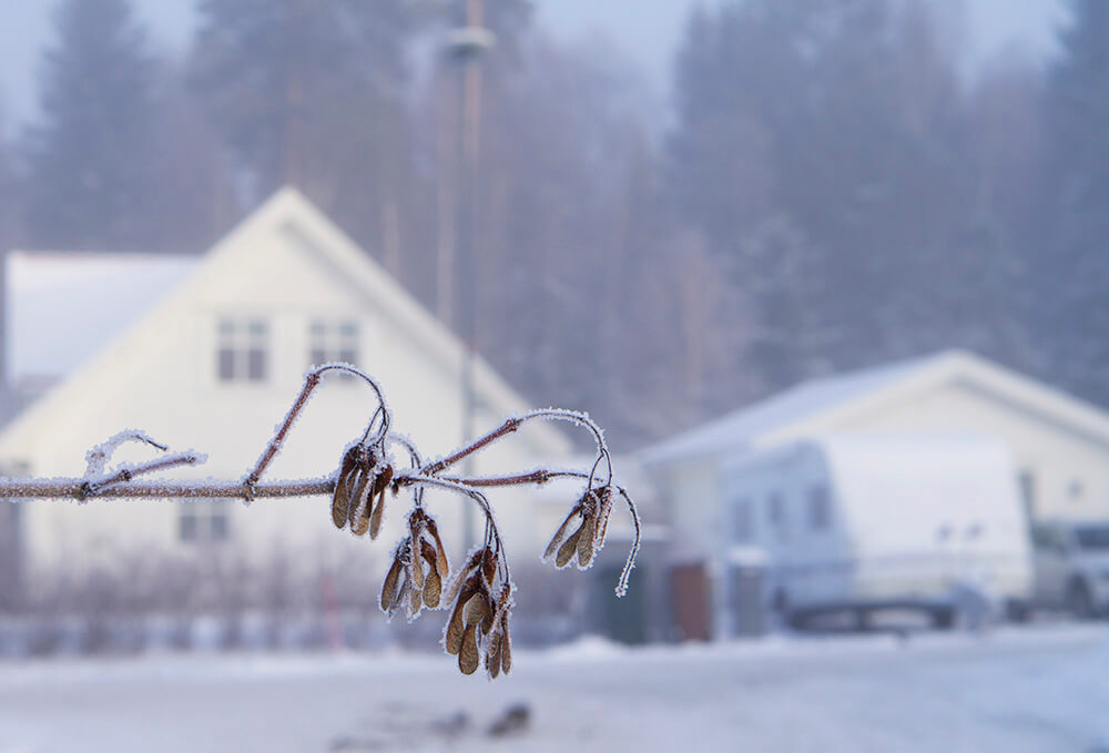 snö och vinter hemma hos oss