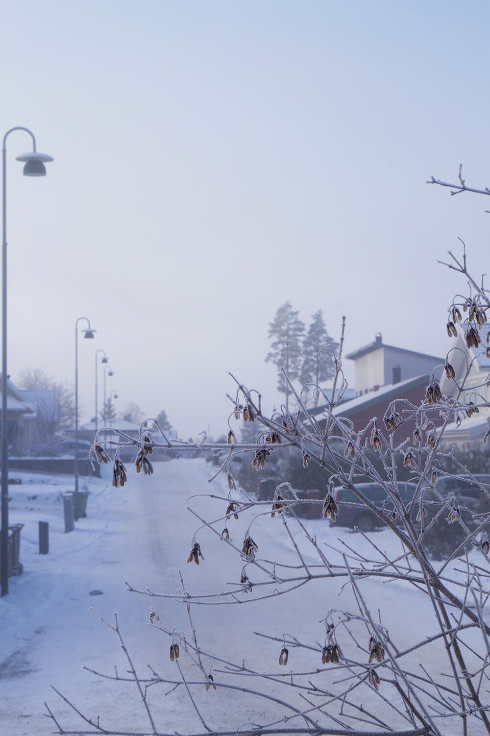 snö och vinter hemma hos oss