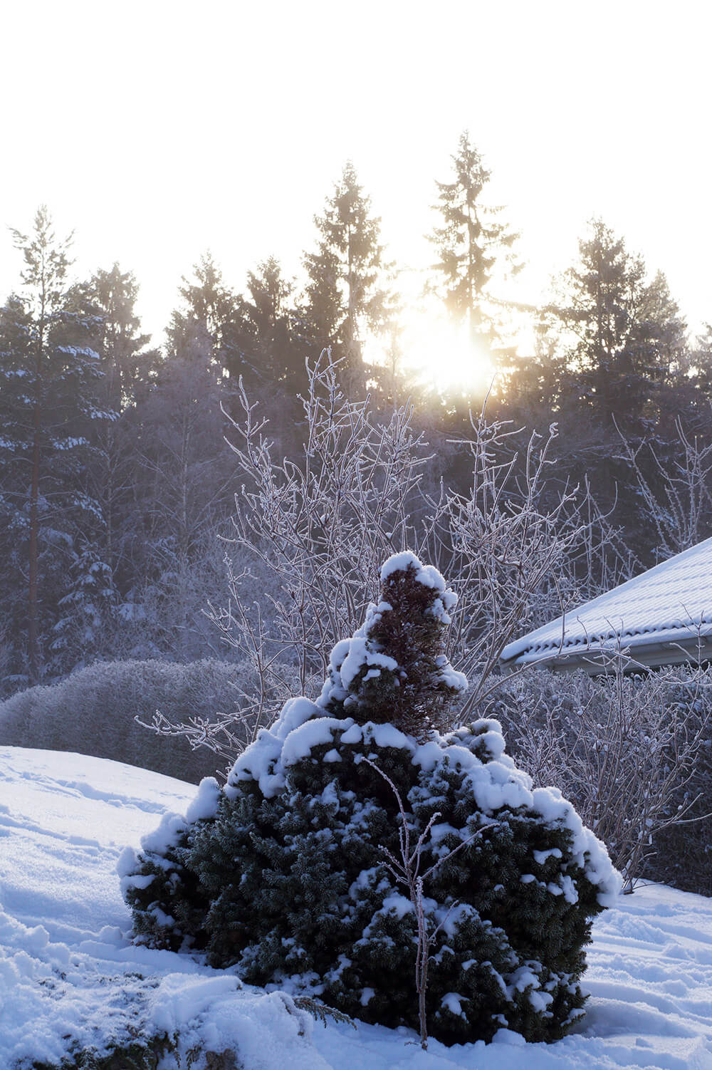 Snö och vinter hemma hos oss