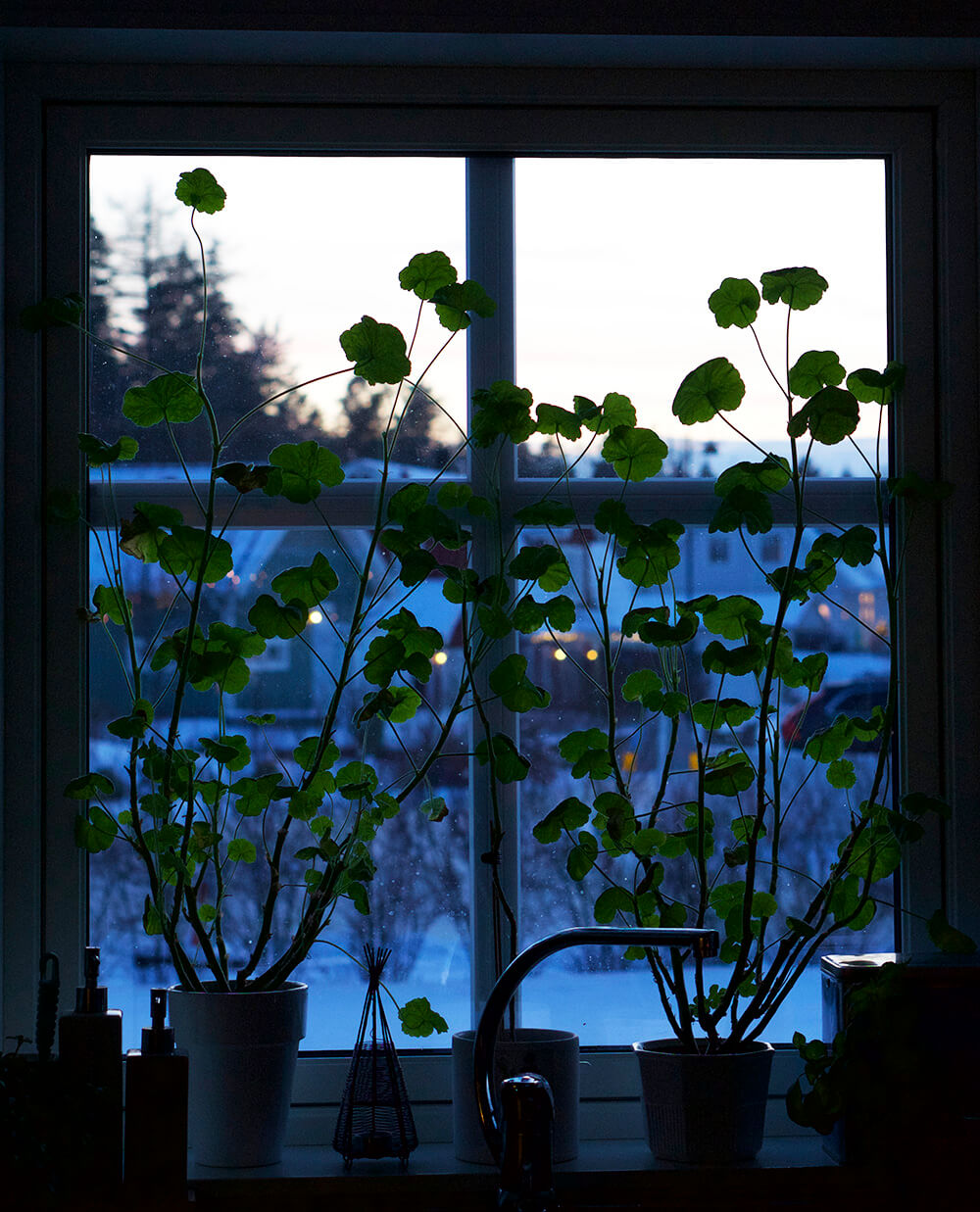 vinterkväll i fönstret