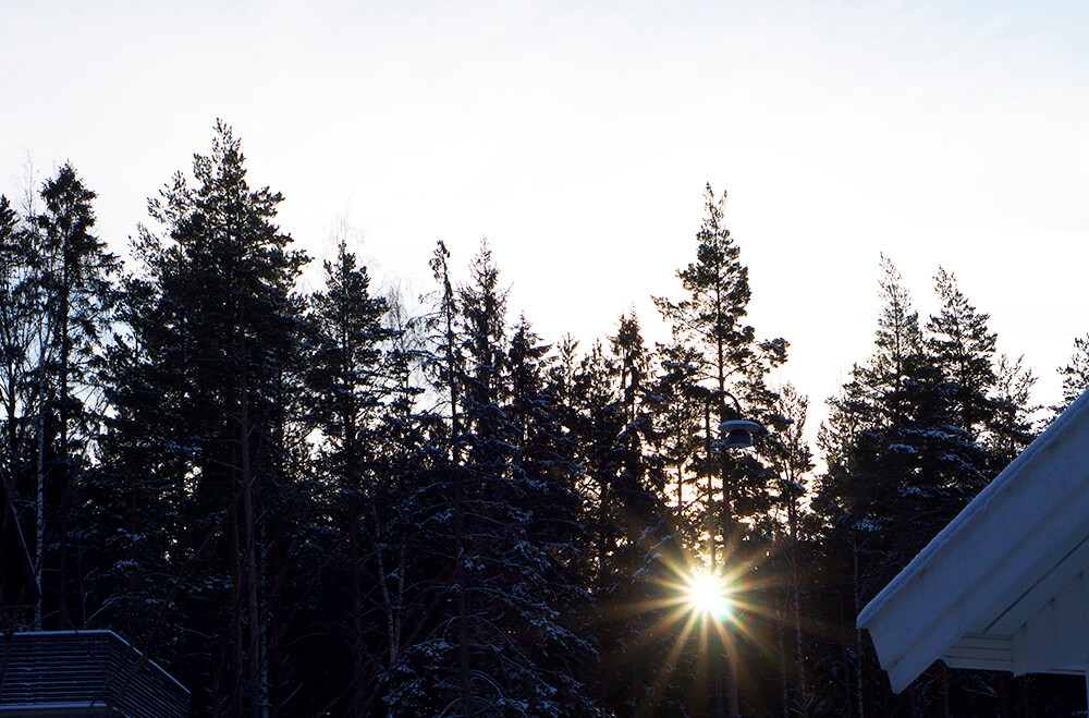 Snö och vinter hemma hos oss
