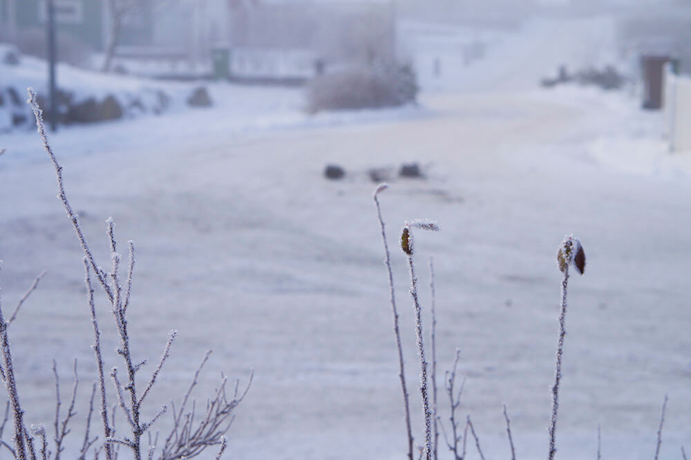 Snö och vinter hemma hos oss