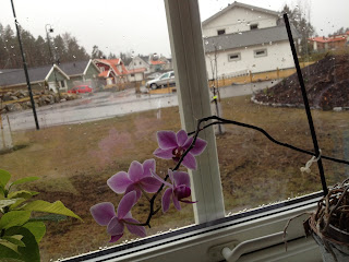 snoblandat-regn - Styrka, smidighet, balans och lite stretch